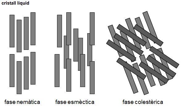 Image from term result on cercaterm