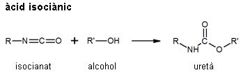 Image from term result on cercaterm