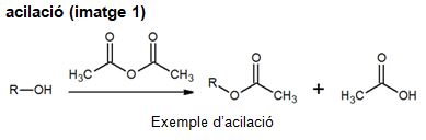 Image from term result on cercaterm