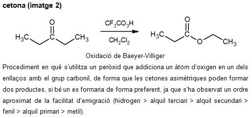 Imagen de un resultado de un térmio del cercaterm