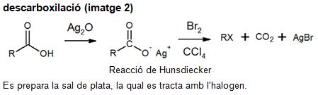 Imagen de un resultado de un térmio del cercaterm