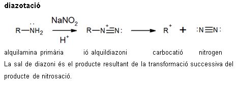 Imatge de resultat en el cercaterm