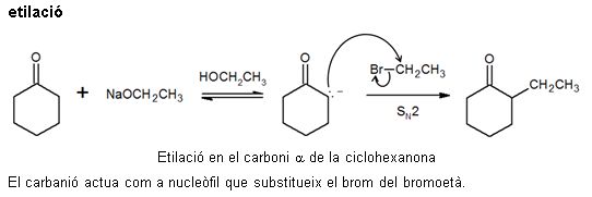 Image from term result on cercaterm