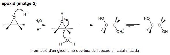 Imagen de un resultado de un térmio del cercaterm