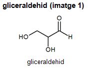 Image from term result on cercaterm