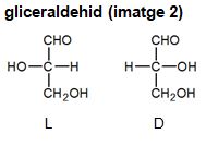 Image from term result on cercaterm