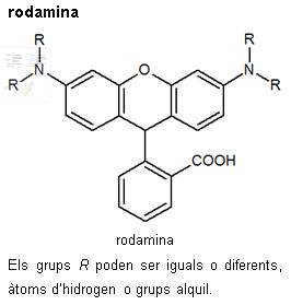 Image from term result on cercaterm