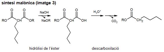Imatge de resultat en el cercaterm
