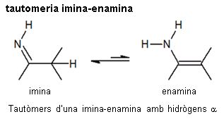 Imagen de un resultado de un térmio del cercaterm