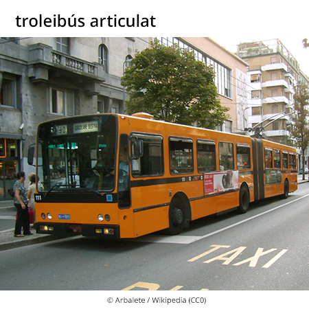 Image from term result on cercaterm