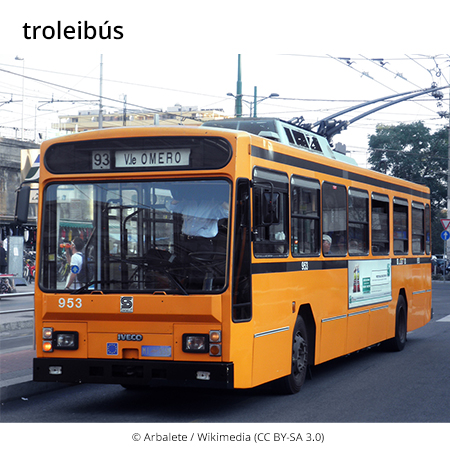 Image from term result on cercaterm