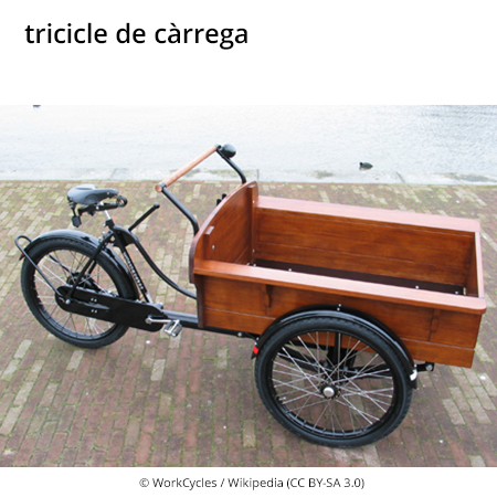Image from term result on cercaterm