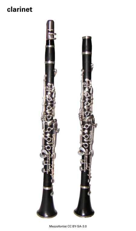 Imagen de un resultado de un térmio del cercaterm