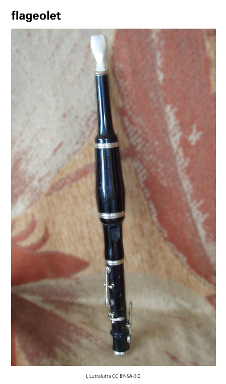 Imagen de un resultado de un térmio del cercaterm