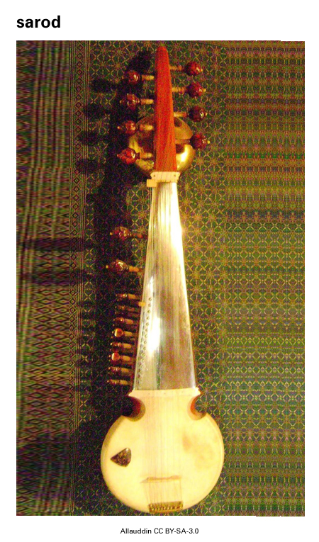 Image from term result on cercaterm