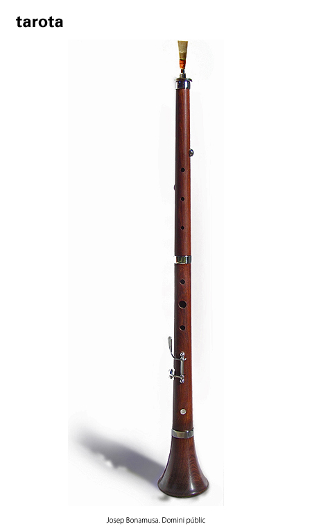 Imatge de resultat en el cercaterm