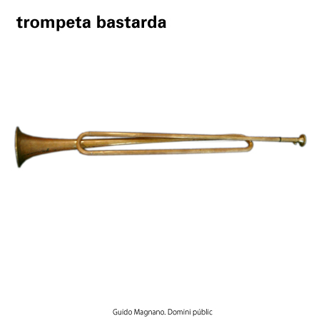 Imatge de resultat en el cercaterm