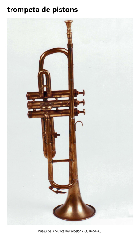 Imatge de resultat en el cercaterm