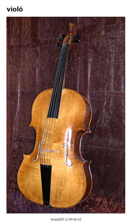 Imagen de un resultado de un térmio del cercaterm