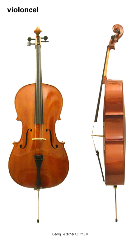 Imagen de un resultado de un térmio del cercaterm