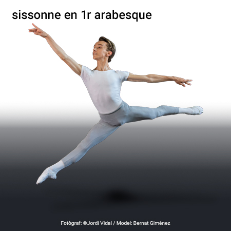 Image from term result on cercaterm