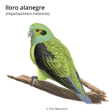 Imagen de un resultado de un térmio del cercaterm