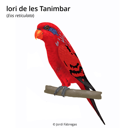 Imagen de un resultado de un térmio del cercaterm