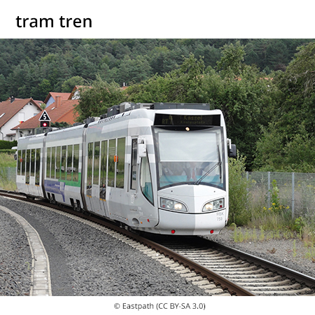 Image from term result on cercaterm