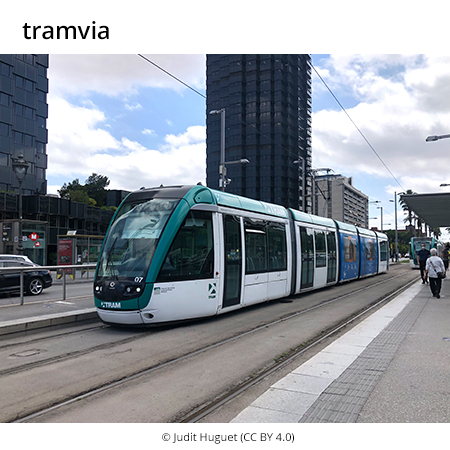 Image from term result on cercaterm