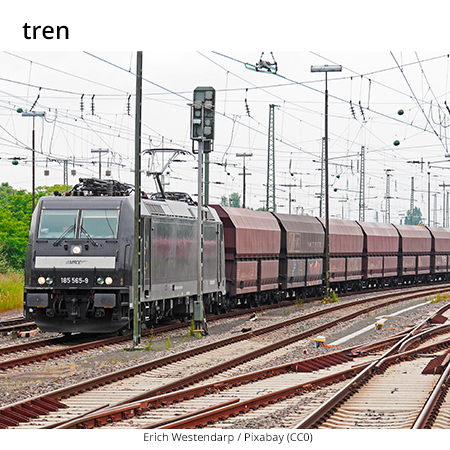 Image from term result on cercaterm