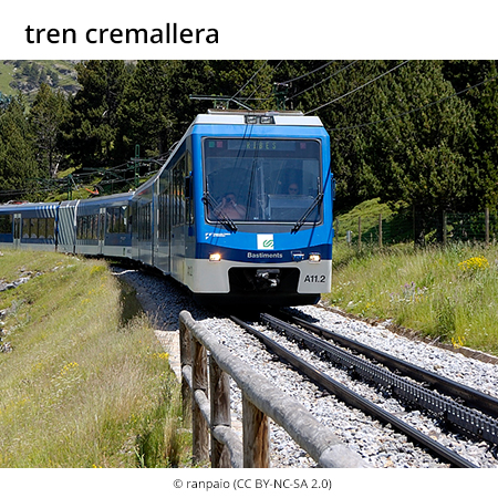 Image from term result on cercaterm