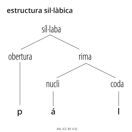 Image from term result on cercaterm