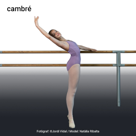 Imagen de un resultado de un térmio del cercaterm