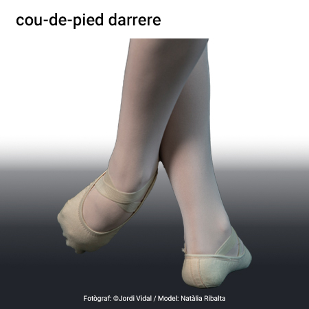 Imatge de resultat en el cercaterm