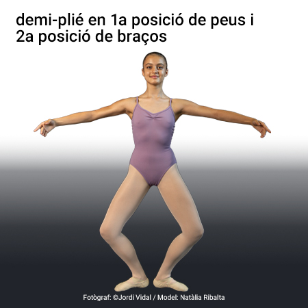 Imagen de un resultado de un térmio del cercaterm