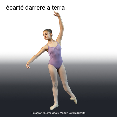 Imagen de un resultado de un térmio del cercaterm