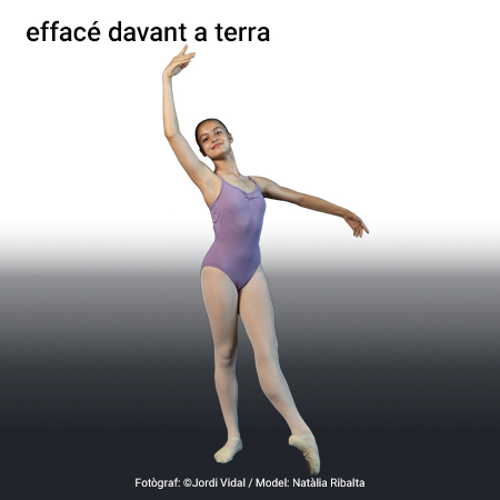 Imagen de un resultado de un térmio del cercaterm