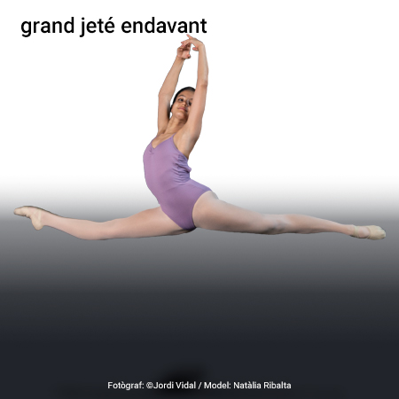Imatge de resultat en el cercaterm