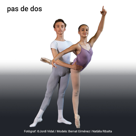 Imatge de resultat en el cercaterm