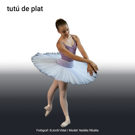 Imatge de resultat en el cercaterm