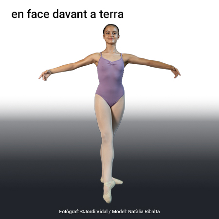 Imatge de resultat en el cercaterm