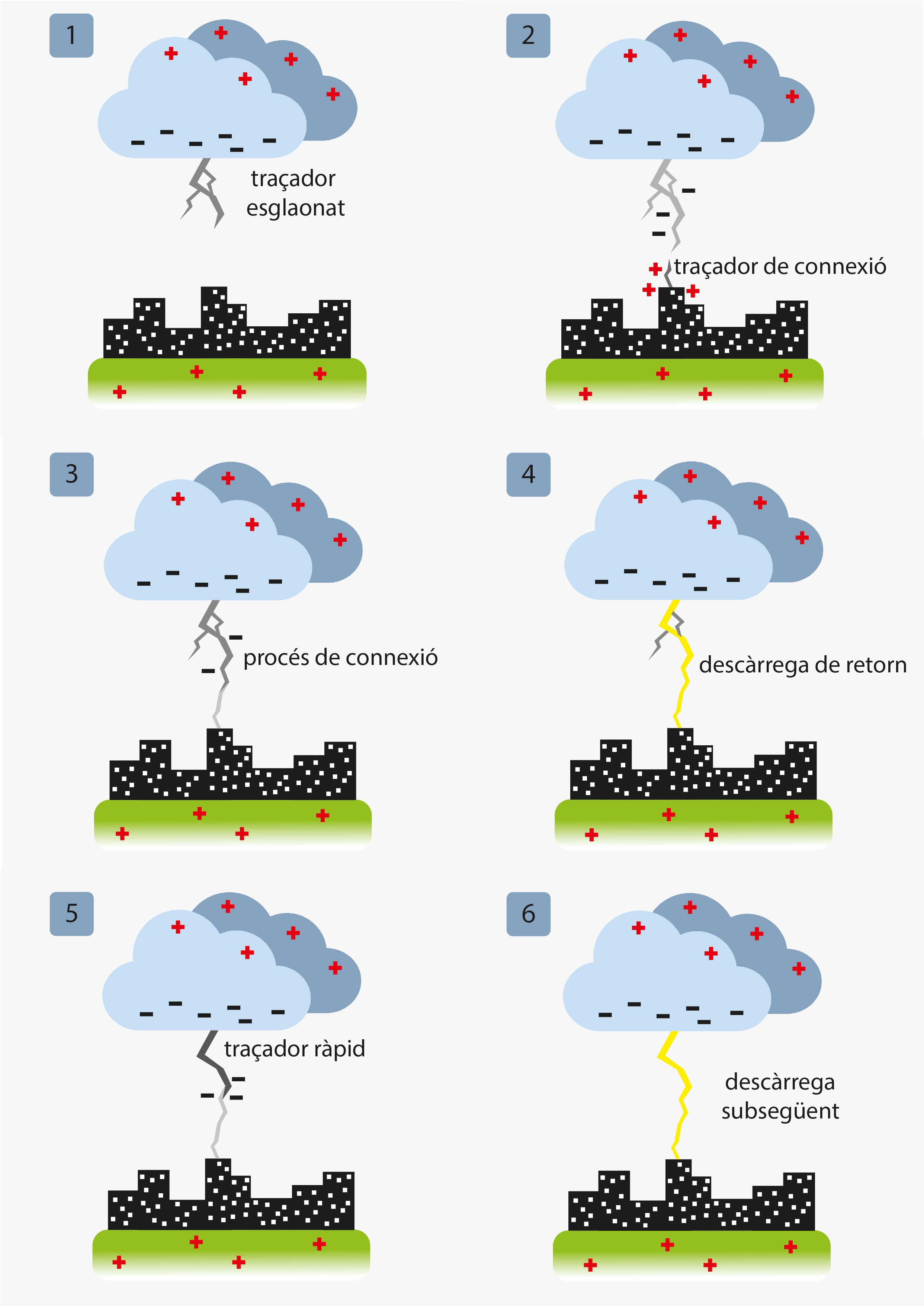 Image from term result on cercaterm