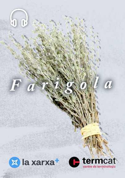 Paraules habitables