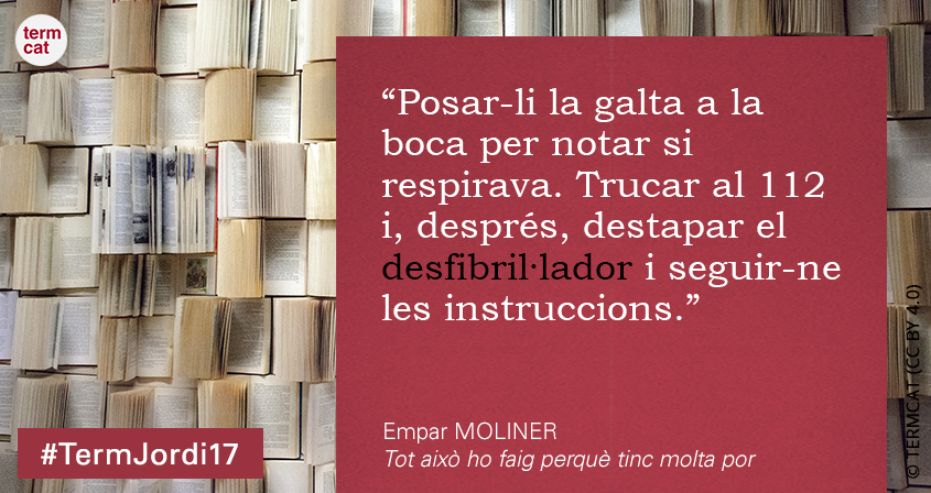 sant jordi 02