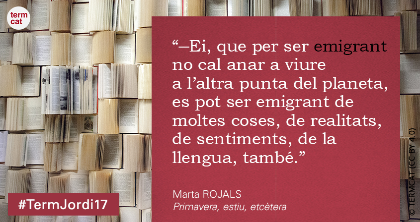 sant jordi 07