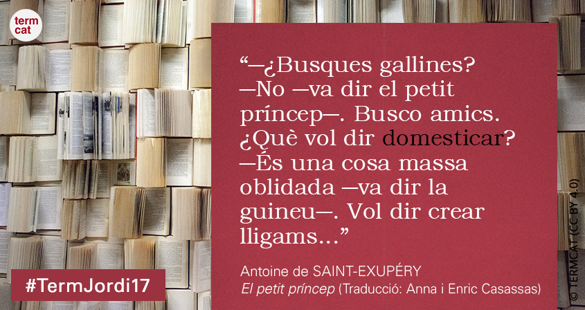 sant jordi 08