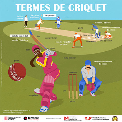 Termes de criquet