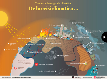 Termes de l'emergència climàtica: de la crisi climàtica a la transició climàtica