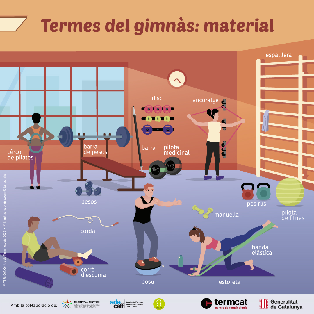 Termes del gimnàs: material