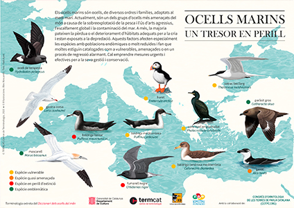 Ocells marins: un tresor en perill